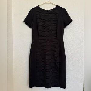 BANANA REPUBLIC | Sophisticated Black Dress with Polka Dots | Size 6P